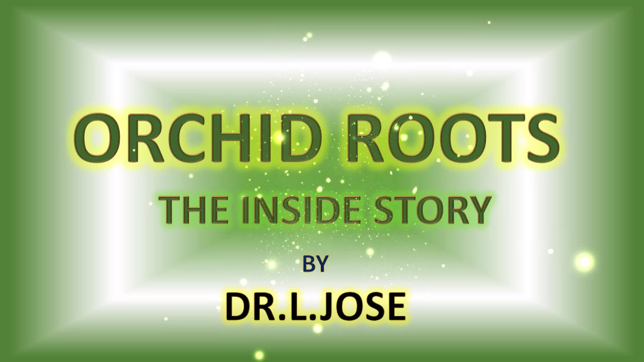 ORCHID ROOTS THE INSIDE STORY BY DR L JOSE