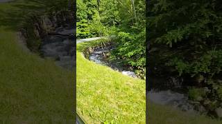 Mountain Creek