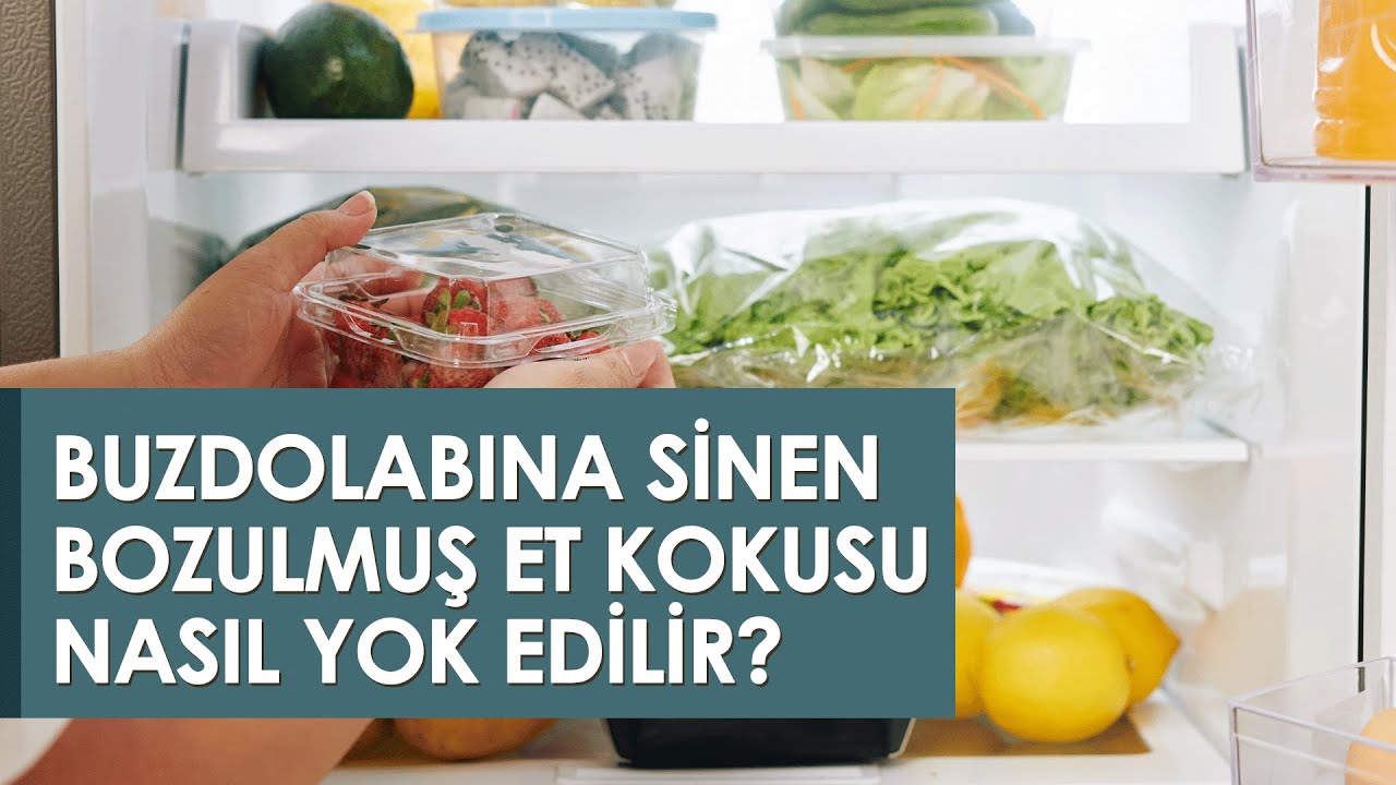 2 kadın 1 erkek sevişme