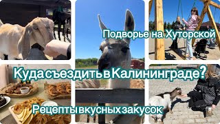 Новый Влог🩶Готовлю закуски к пивному столу🦐Поехали гулять в « Подворье на Хуторской»🐐