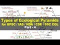 Ecological Pyramids Unveiled Energy Flow and Trophic Levels Explained