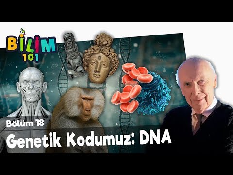 Genetik Kodumuz: DNA 🧬 Bilim 101 Kısa Belgesel