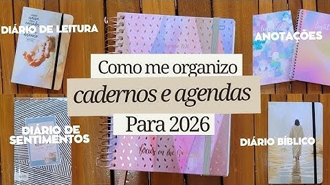 Como me organizo com cadernos e agendas para 2026 : Diário Bíblico e Diário de leitura 