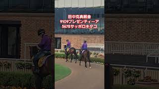 田中克典厩舎のプレゼンティーアとサッポロキタコ #プロ馬券師集団桜花 #automobile #函館競馬場 #中央競馬 #函館競馬場 #horse #競馬 #調教 #追い切り #パドック