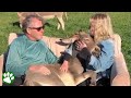 Donkey Loves Sitting In Lap While Being Serenaded