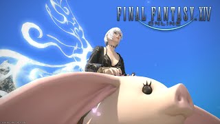 【FINAL FANTASY XIV】【初見🔰】そろそろ白魔導士のロールクエができるはず【ファイナルファンタジー14 】 #FINALFANTASY #FFXIV