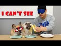 French Bulldogs Do Blindfolded Taste Test With Their Human **Funny Reaction