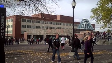 COM 210 video tutorial 1