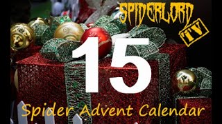 Spider Advent Calendar: Day 15