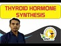 THYROID HORMONE SYNTHESIS | PHARMACOLOGY | GPAT-2020 | PHARMACIST | DRUG INSPECTOR