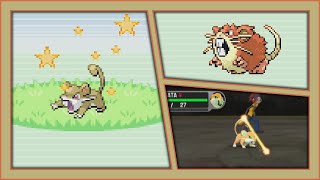 [Live] - Shiny Rattata after 6,640 random encounters in LeafGreen! (DTQ #2)