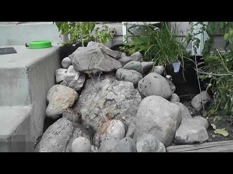 DIY Landscaping Outdoor Pondless Waterfall Pond Project
