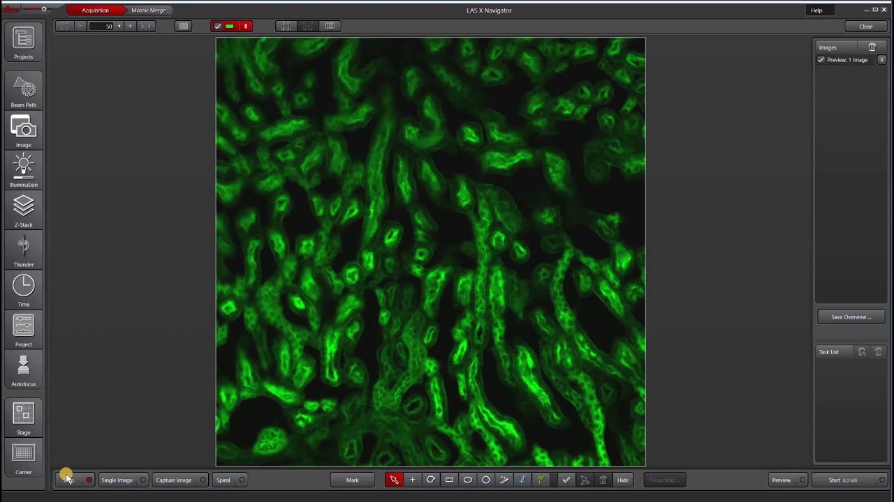 Leica LAS X Navigator Intro YouTube