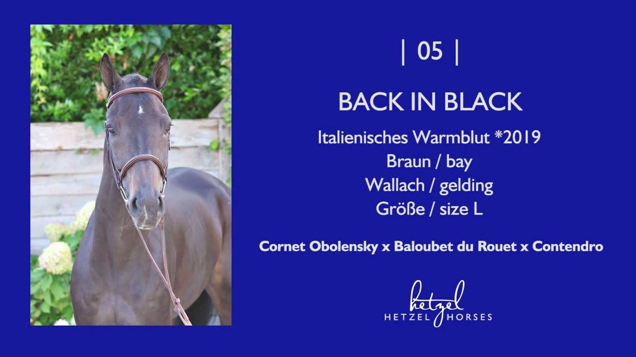 5 | Back in Black (Cornet Obolensky x Baloubet du Rouet) | Holger Hetzel Sport Horse Sales 2025
