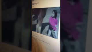 Thats Why You Dont Smack A Horse