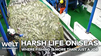 STORMS, STEEL AND POLLOCK: Why Deep-Sea Fishing is a Job for True Risk-Takers | WELT Documentary
