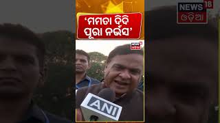 'ଦିଦି ପୂରା ନର୍ଭସ୍...' | Himanta Targets Mamata: “Didi Is Nervous!” | West Bengal Election |Odia News