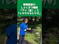 【東山動植物園公式】植物園長の植物講座《 シラタマホシクサ　植物園 サワギキョウ》 #shorts