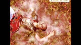 Electronicat - Mummy Cat