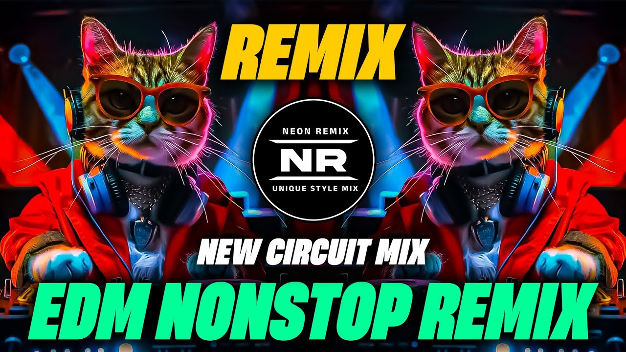 Edm Nonstop Remix | Unique Style Mix | Retro Dj Song 2025 | DJ Neon Remix