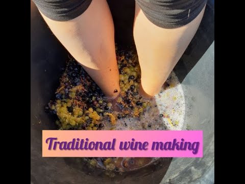 Traditional wine making method Part 1 #13