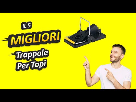 Migliori Trappole Per Topi 2022