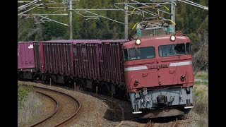 JR貨物 8057レ EF81-404 汽笛2発付き