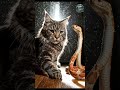 When a Cat Faces a Snake #shorts #trending #didyouknow