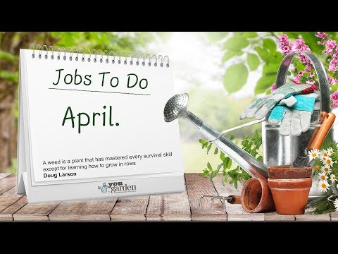 Video: Flower Garden In April: What Needs To Be Done?