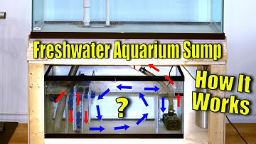 Aquarium Sump Explained: Ultimate Guide on How Aquarium Sumps Work