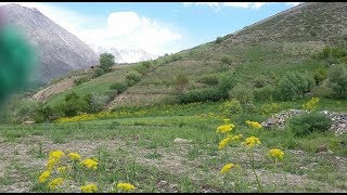 'wafo Sabaqo gane masari'  | Hazrat uddin wafa || #chitralisong #khowarsong || chitral network