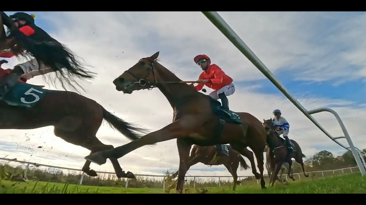 Øvrevoll Galopp 12.10.2022. Løp #5 kl. 14:00, NORSK JOCKEYKLUBS SPRINTLØP (1170gr)