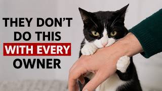 Your Cat Does This ONLY If You're a Great Owner