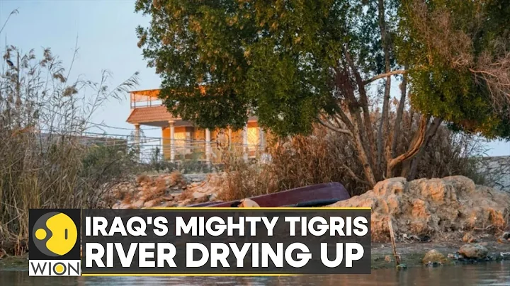 WION Climate Tracker | Human activity, climate change chokes Tigris river in Iraq - DayDayNews