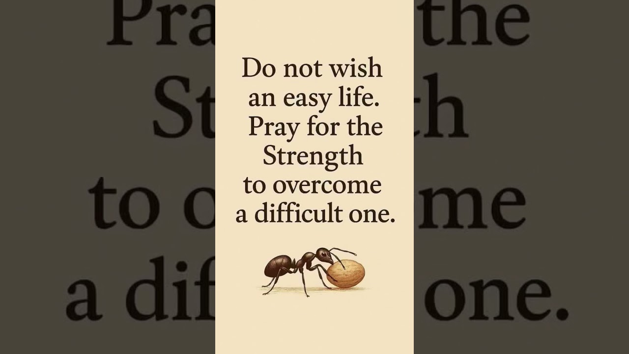 Life is a Journey Enjoy the Flight 