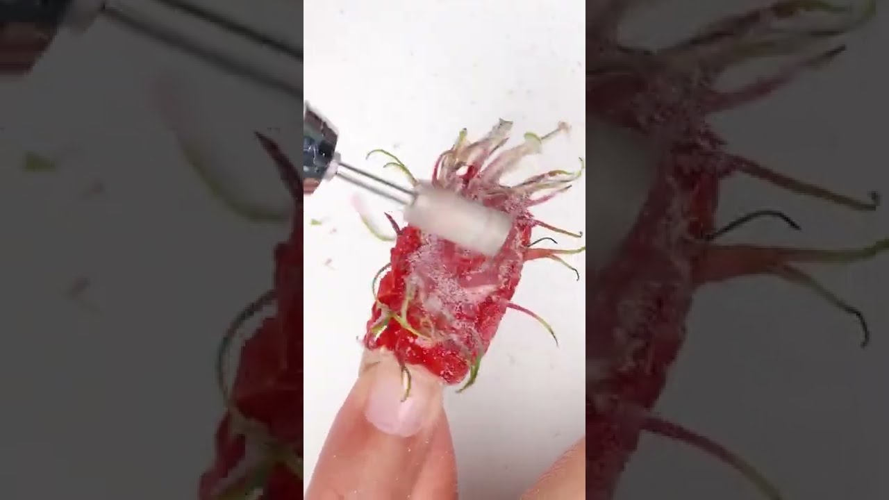 What do you think about my idea nails nailart foryou fyp learnontiktok