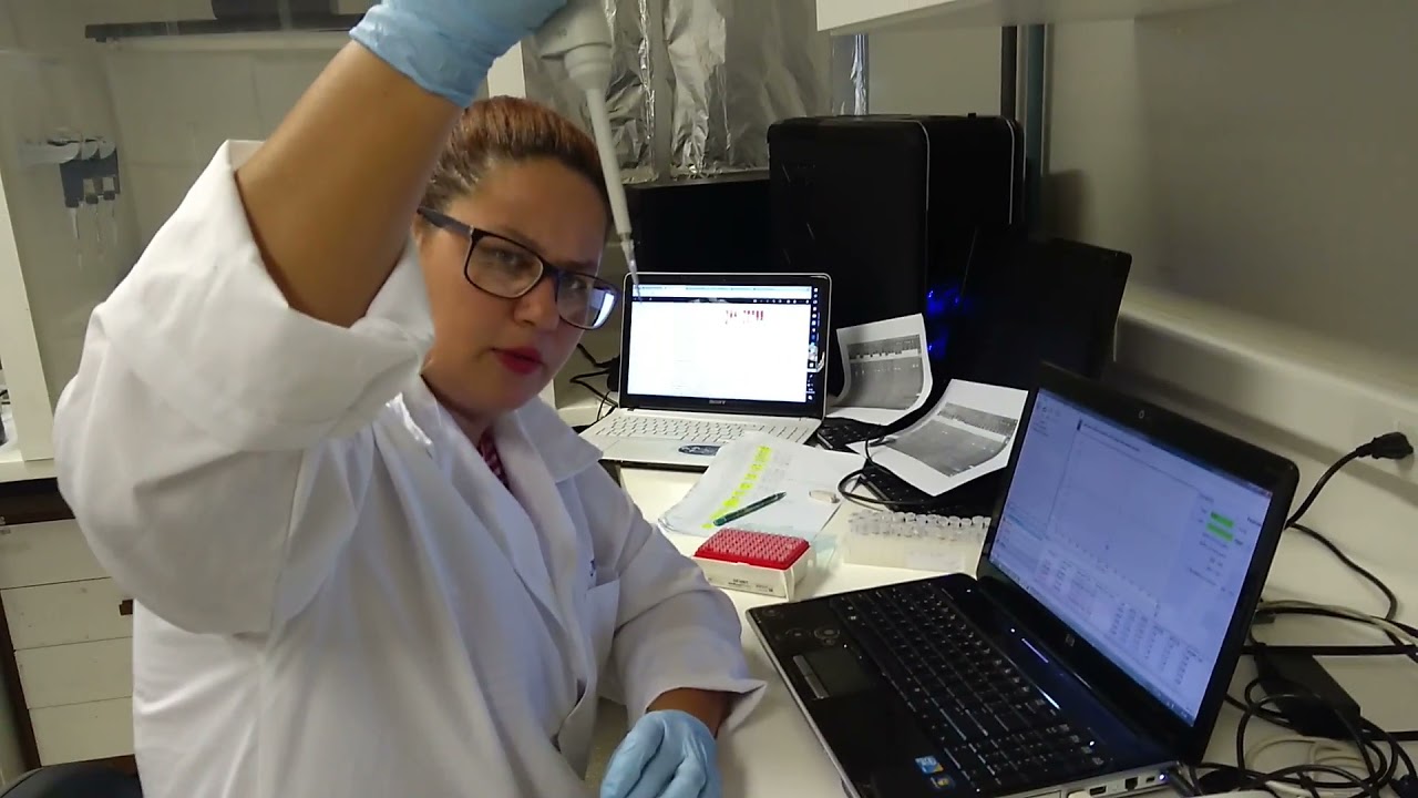 tutorial/utilização do nanodrop. Quantificação de DNA