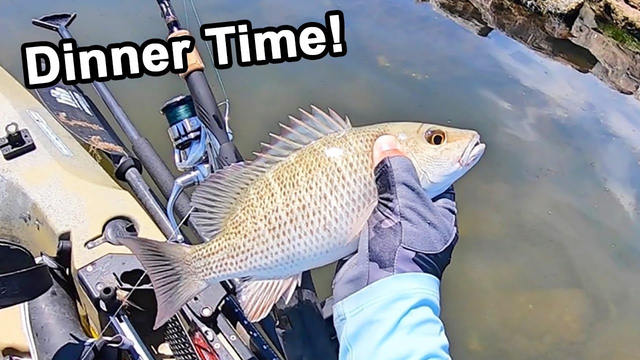 mangrove snapper rig