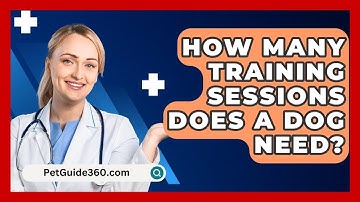 How Many Training Sessions Does A Dog Need? - PetGuide360.com