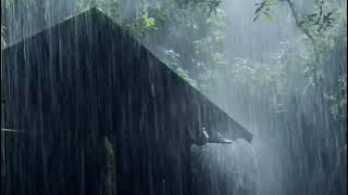 Sunetul naturii- Ploaie cu tunete