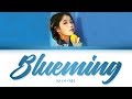 Iu blueming lyrics    color coded lyricshanromeng