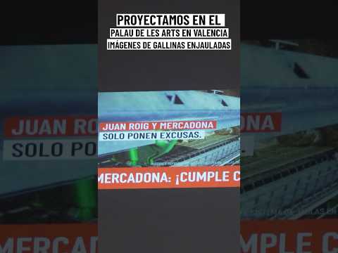 IMÁGENES DE GALLINAS ENJAULADAS EN EL PALAU DE LES ARTS