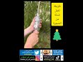 طريقة لعمل شتلة من الشجرةHow To Make A Seedling From A Tree 