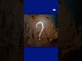 मलेरिया ने तय किया कि शुरुआती इंसान कहां बसेंगे? [Did Malaria Decide Where Early Humans Settled?]