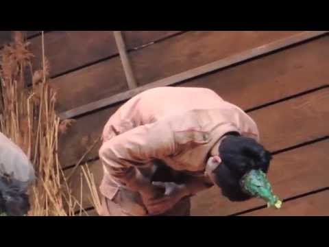 20140712 여신님이 보고계셔 낮공(백형훈배우위주)로고x
