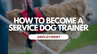 How To Become A Service Dog Trainer