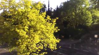 ASUS Eee Pad Transformer Testvideo Front-Camera