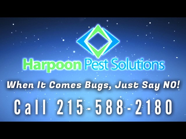 Harpoon Pest Solutions Lansdowne Pa Exterminator Commercial