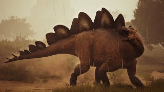 The Solo Stegosaurus Experience
