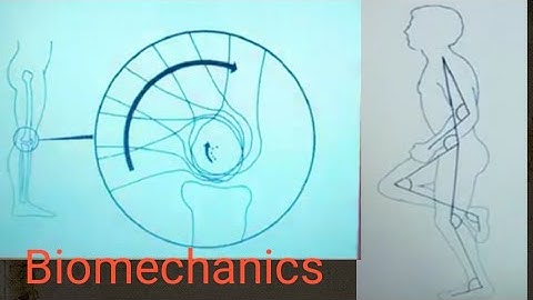 Angular kinematics of human movement biomechanics chapter 11